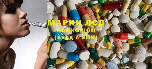 ПСИЛОЦИБИНОВЫЕ ГРИБЫ Вяземский