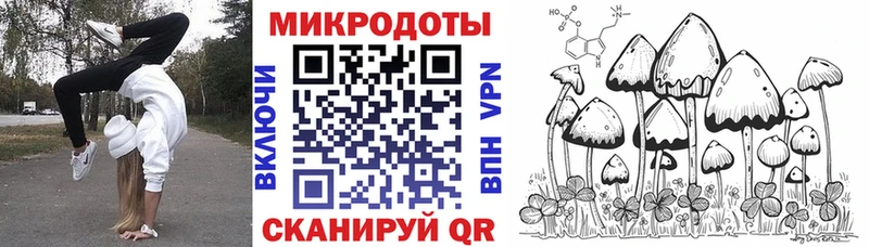 Псилоцибиновые грибы Psilocybine cubensis  Дятьково 
